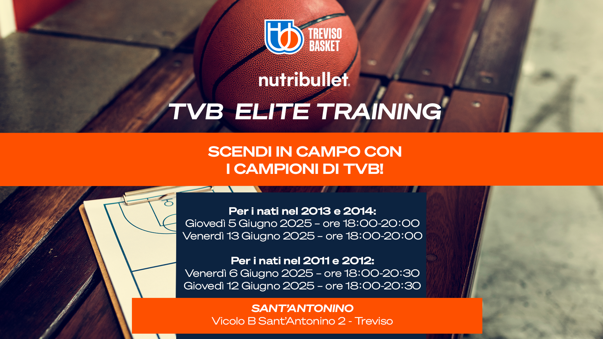Programma allenamenti TVB Academy Elite Training